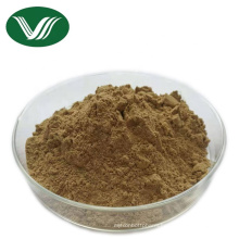 Natural Gingerols Ginger Root Extract Powder 20:1